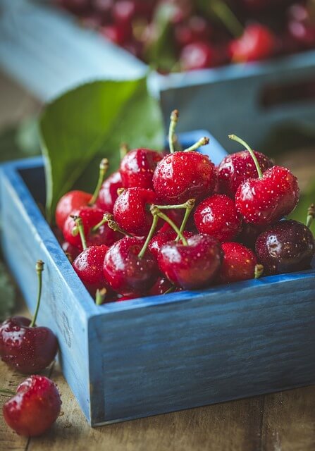 alimentos exportados por región